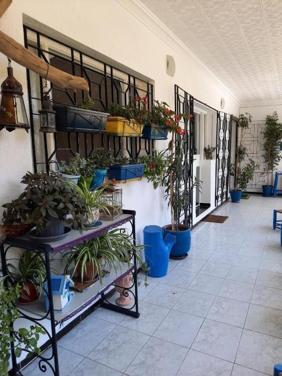 Maison D Hotes Marine Ksar Sghir Zewnętrze zdjęcie
