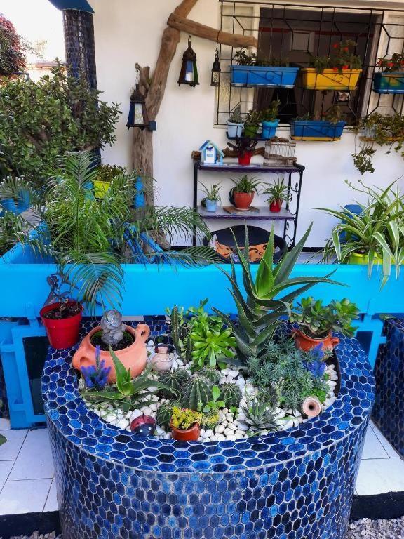 Maison D Hotes Marine Ksar Sghir Zewnętrze zdjęcie