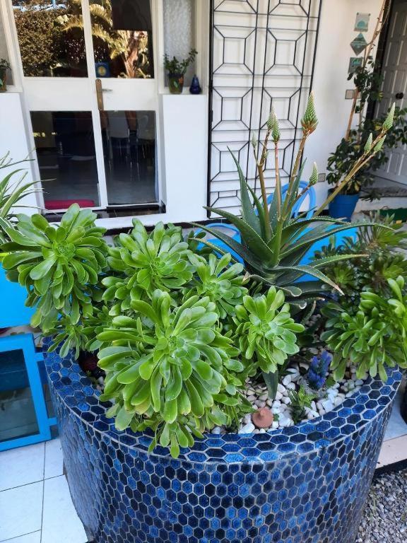 Maison D Hotes Marine Ksar Sghir Zewnętrze zdjęcie