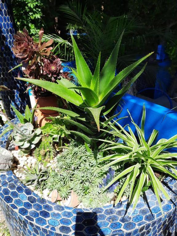 Maison D Hotes Marine Ksar Sghir Zewnętrze zdjęcie