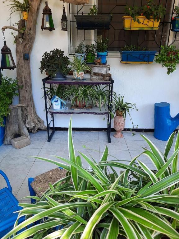 Maison D Hotes Marine Ksar Sghir Zewnętrze zdjęcie