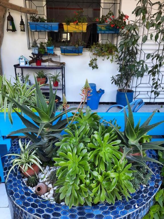 Maison D Hotes Marine Ksar Sghir Zewnętrze zdjęcie