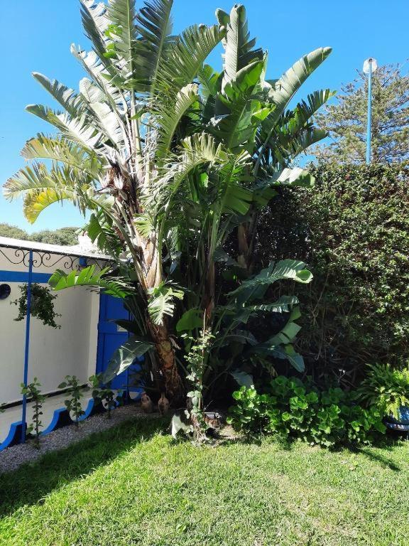 Maison D Hotes Marine Ksar Sghir Zewnętrze zdjęcie