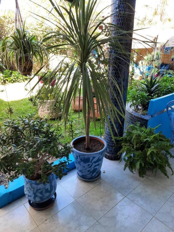 Maison D Hotes Marine Ksar Sghir Zewnętrze zdjęcie
